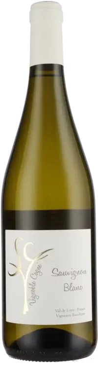 Domaine Vignoble Cogné - Sauvignon Blanc IGP Loire 2023