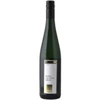 Franzen - Riesling vom Grauen Schiefer 2021